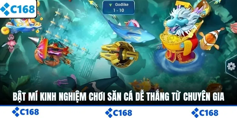 Bật mí kinh nghiệm chơi săn cá dễ thắng từ chuyên gia